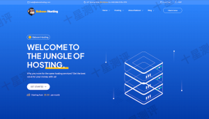 BaboonHosting|荷兰VPS限时特惠,年付€12.99起,SSD硬盘/4Gbps带宽 2 2025111100441444140014